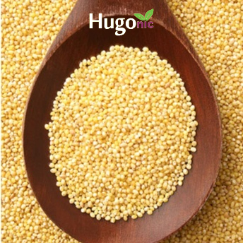Non-Sticky Organic Baby Millet – Hugo Nic